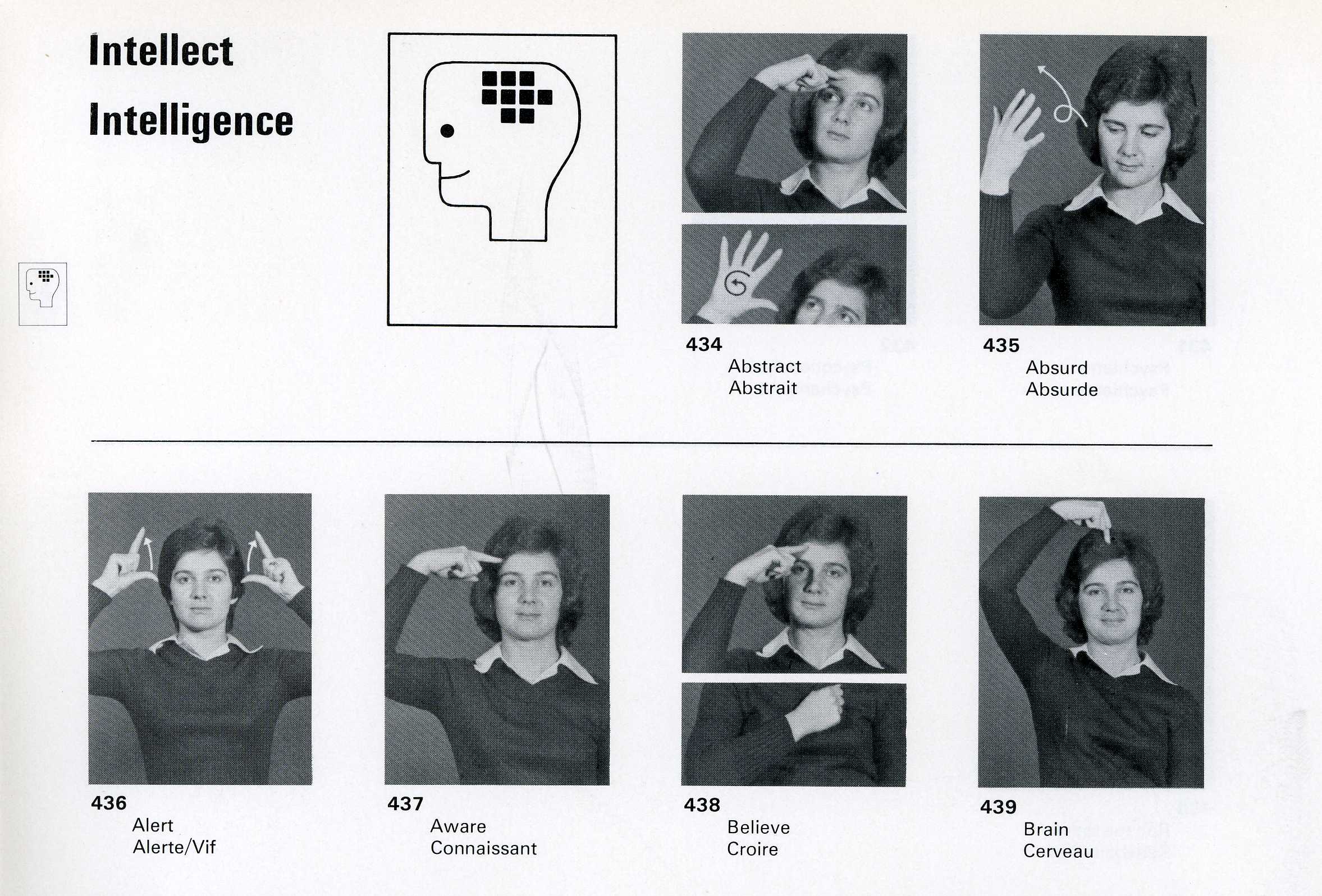 Intellect001.jpg